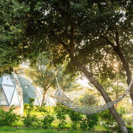 Lusso Glamping Bodrum Otel Dış mekan fotoğraf