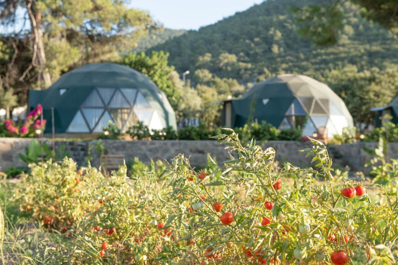 Lusso Glamping Bodrum Otel Dış mekan fotoğraf