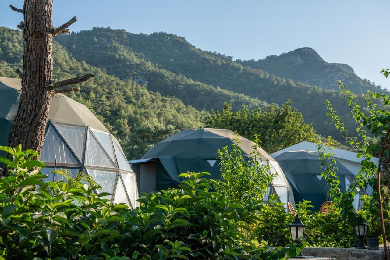 Lusso Glamping Bodrum Otel Dış mekan fotoğraf